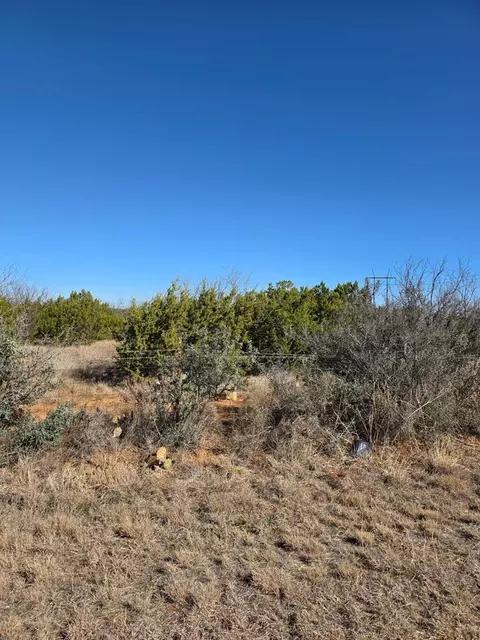 8392 Orient Rd, San Angelo, TX 76905