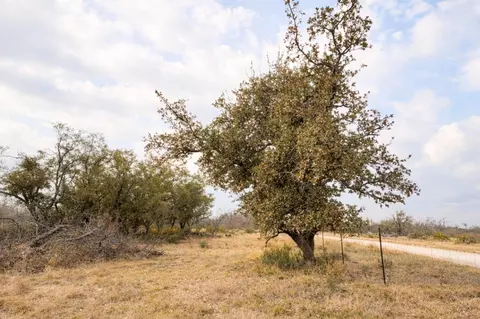 135 Shin Oak Spur, Eden, TX 76837
