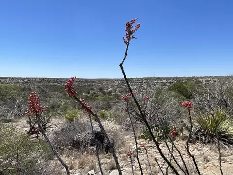 tbd N 0000 N State Highway 349, Sanderson, TX 79848