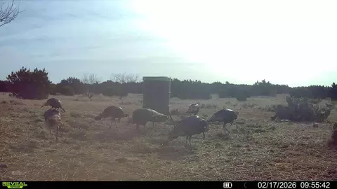 0000 Baker Rd, Sonora, TX 76950 photo 9