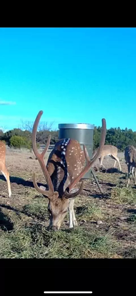 0000 Baker Rd, Sonora, TX 76950
