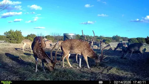 0000 Baker Rd, Sonora, TX 76950 photo 3