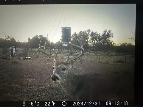 1335 Ocelot Rd, Eldorado, TX 76936 photo 5