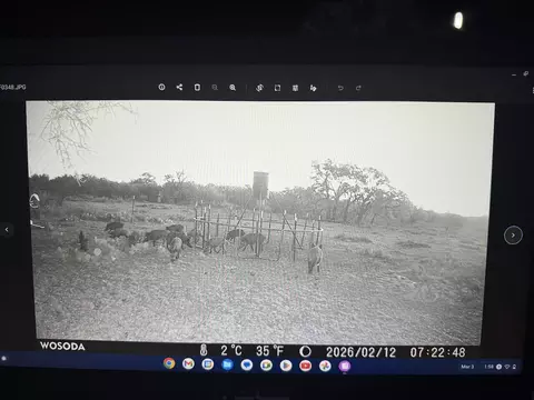 1335 Ocelot Rd, Eldorado, TX 76936 photo 14