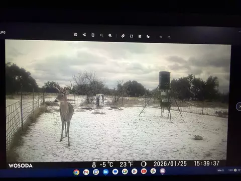 1335 Ocelot Rd, Eldorado, TX 76936 photo 11