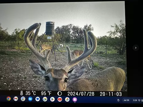 1335 Ocelot Rd, Eldorado, TX 76936 photo 3