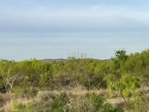 9544 W Grape Creek Rd, San Angelo, TX 76901