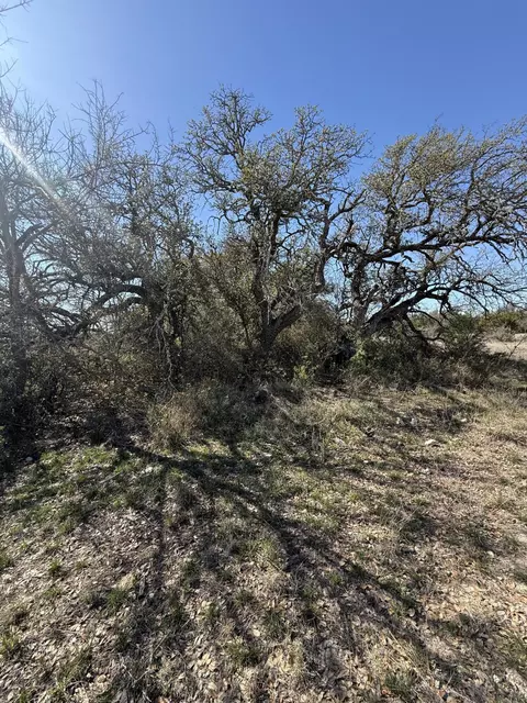 713 Persimmon Rd, Eldorado, TX 76936 photo 14