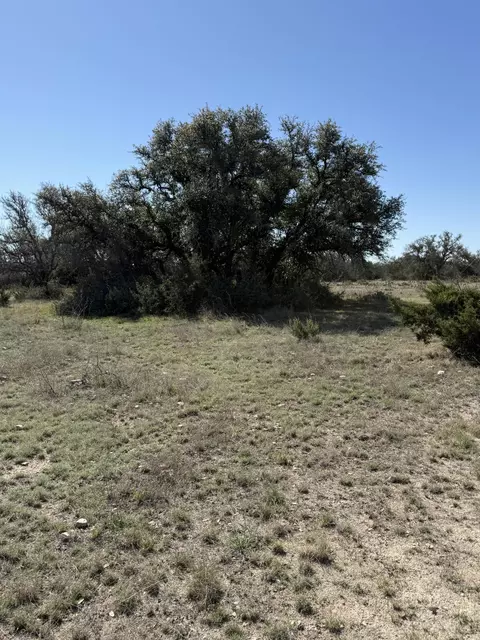 713 Persimmon Rd, Eldorado, TX 76936 photo 2