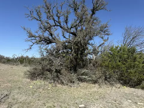 713 Persimmon Rd, Eldorado, TX 76936 photo 8