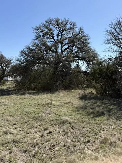 713 Persimmon Rd, Eldorado, TX 76936 photo 4