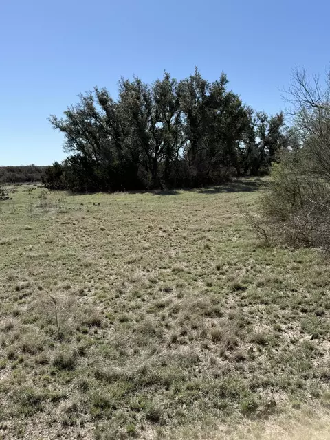 713 Persimmon Rd, Eldorado, TX 76936 photo 3
