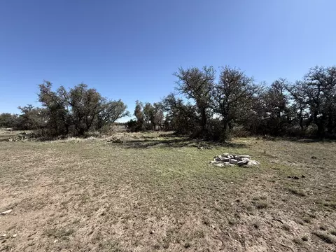 713 Persimmon Rd, Eldorado, TX 76936 photo 7