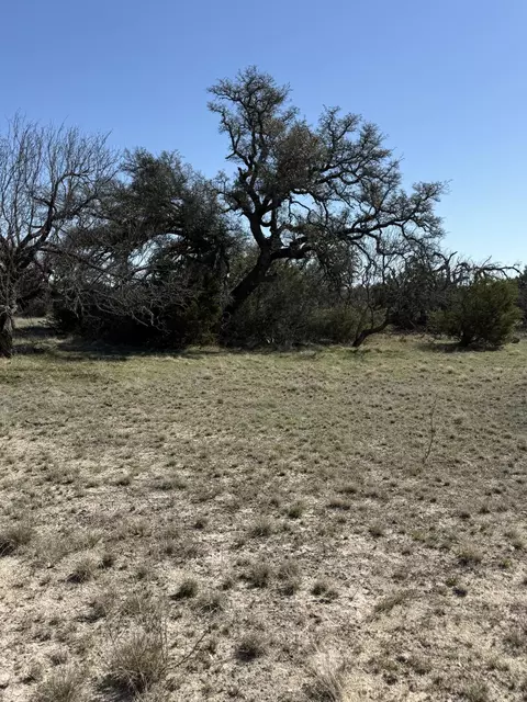 713 Persimmon Rd, Eldorado, TX 76936 photo 15