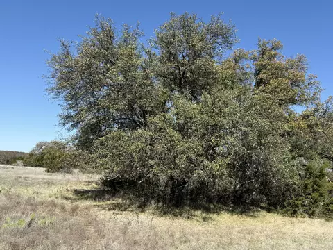 713 Persimmon Rd, Eldorado, TX 76936 photo 9