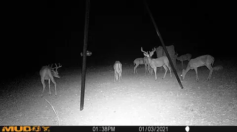 Tx Hwy 349 Tx-349, Sanderson, TX 79848