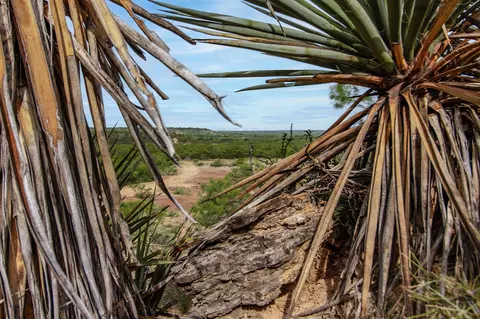 3400 Fm765, Brady, TX 76825 photo 12