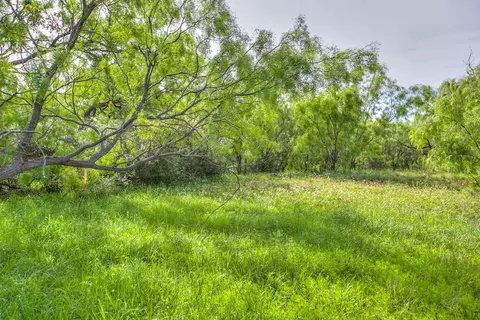 4124 E State Highway 158, Bronte, TX 76933 photo 33