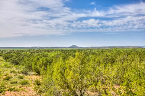 4124 E State Highway 158, Bronte, TX 76933 photo 41