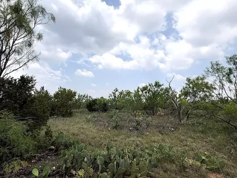 377 Axis Lp, Robert Lee, TX 76945 photo 10