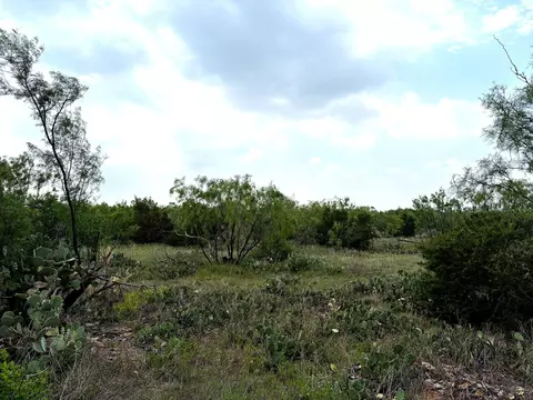 377 Axis Lp, Robert Lee, TX 76945 photo 15