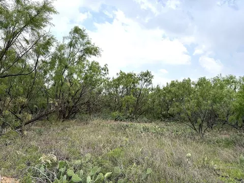 377 Axis Lp, Robert Lee, TX 76945 photo 5