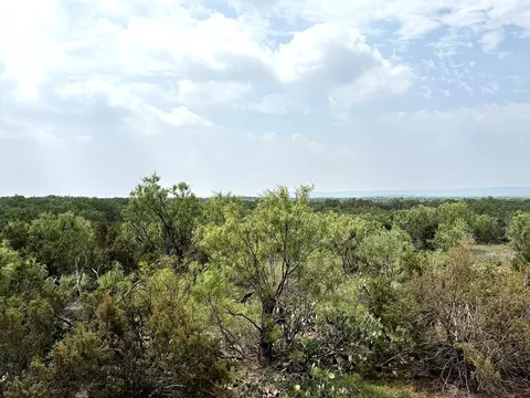 377 Axis Lp, Robert Lee, TX 76945 photo 6