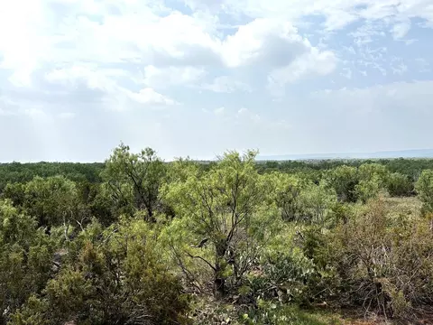 377 Axis Lp, Robert Lee, TX 76945 photo 2
