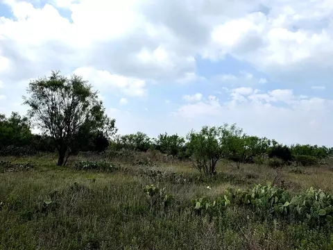 377 Axis Lp, Robert Lee, TX 76945 photo 18