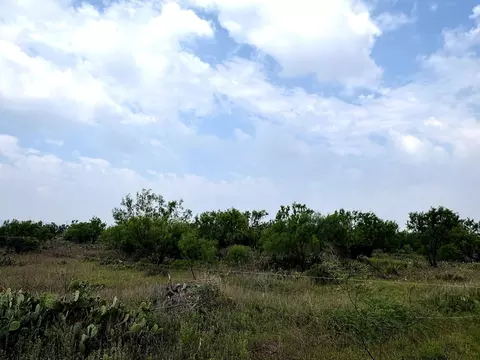 377 Axis Lp, Robert Lee, TX 76945 photo 17