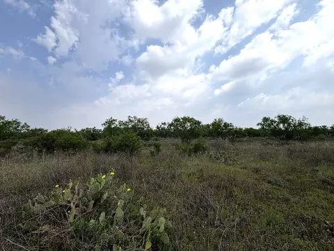 377 Axis Lp, Robert Lee, TX 76945 photo 9