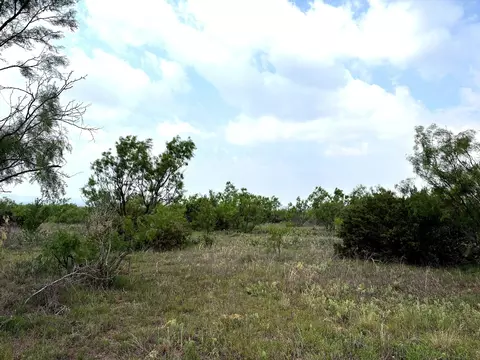 377 Axis Lp, Robert Lee, TX 76945 photo 14