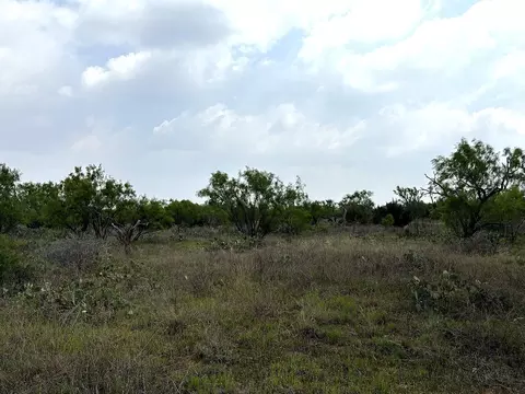 377 Axis Lp, Robert Lee, TX 76945 photo 4