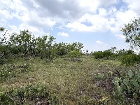 377 Axis Lp, Robert Lee, TX 76945 photo 8