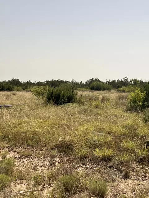 21009 Frank Rd, Paint Rock, TX 76866