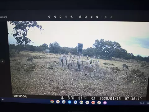 1335 Ocelot Rd, Eldorado, TX 76936 photo 4