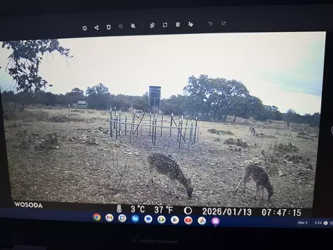 1335 Ocelot Rd, Eldorado, TX 76936 photo 3