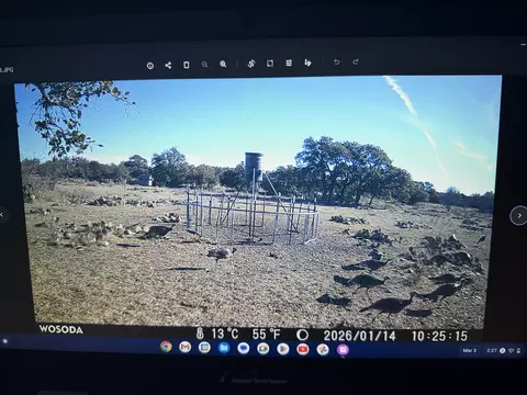 1335 Ocelot Rd, Eldorado, TX 76936 photo 36