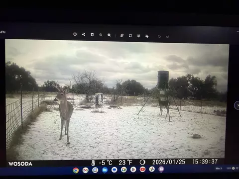 1335 Ocelot Rd, Eldorado, TX 76936 photo 25