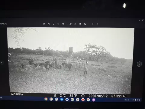 1335 Ocelot Rd, Eldorado, TX 76936 photo 31