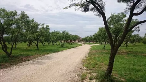 2001 Walling Pecan Rd, San Angelo, TX 76904 photo 1
