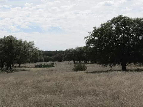1746 County Rd 243, Eldorado, TX 76936 photo 3