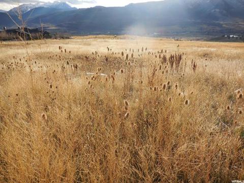 3697 N Middle Fork Rd, Eden, UT 84310 photo 13