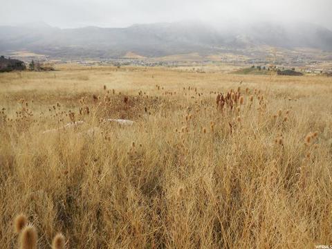 3697 N Middle Fork Rd, Eden, UT 84310 photo 12