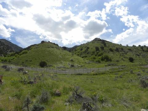 138 N 850 E, Providence, UT 84332 photo 20
