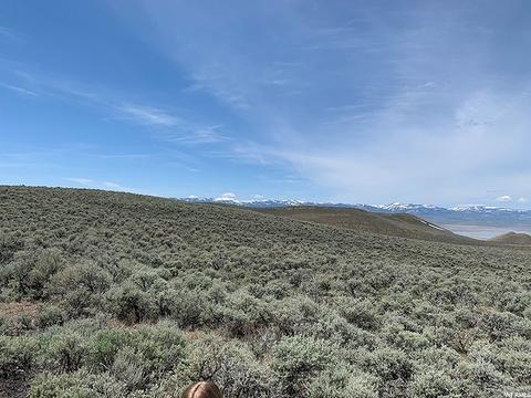 APT 8, Saint Charles, ID 83272 photo 7
