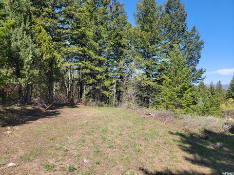0 Bare Ground, Bancroft, ID 83217 photo 13