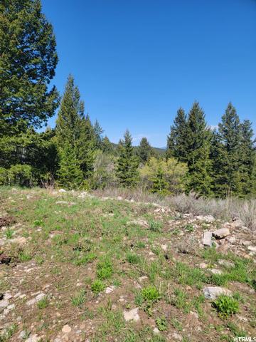 0 Bare Ground, Bancroft, ID 83217 photo 3