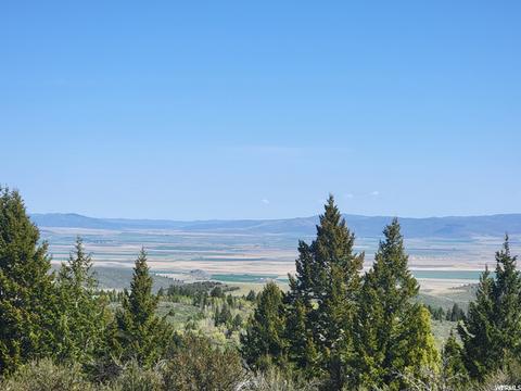 0 Bare Ground, Bancroft, ID 83217