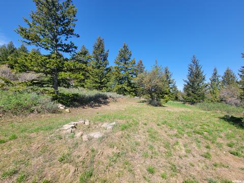 0 Bare Ground, Bancroft, ID 83217 photo 8